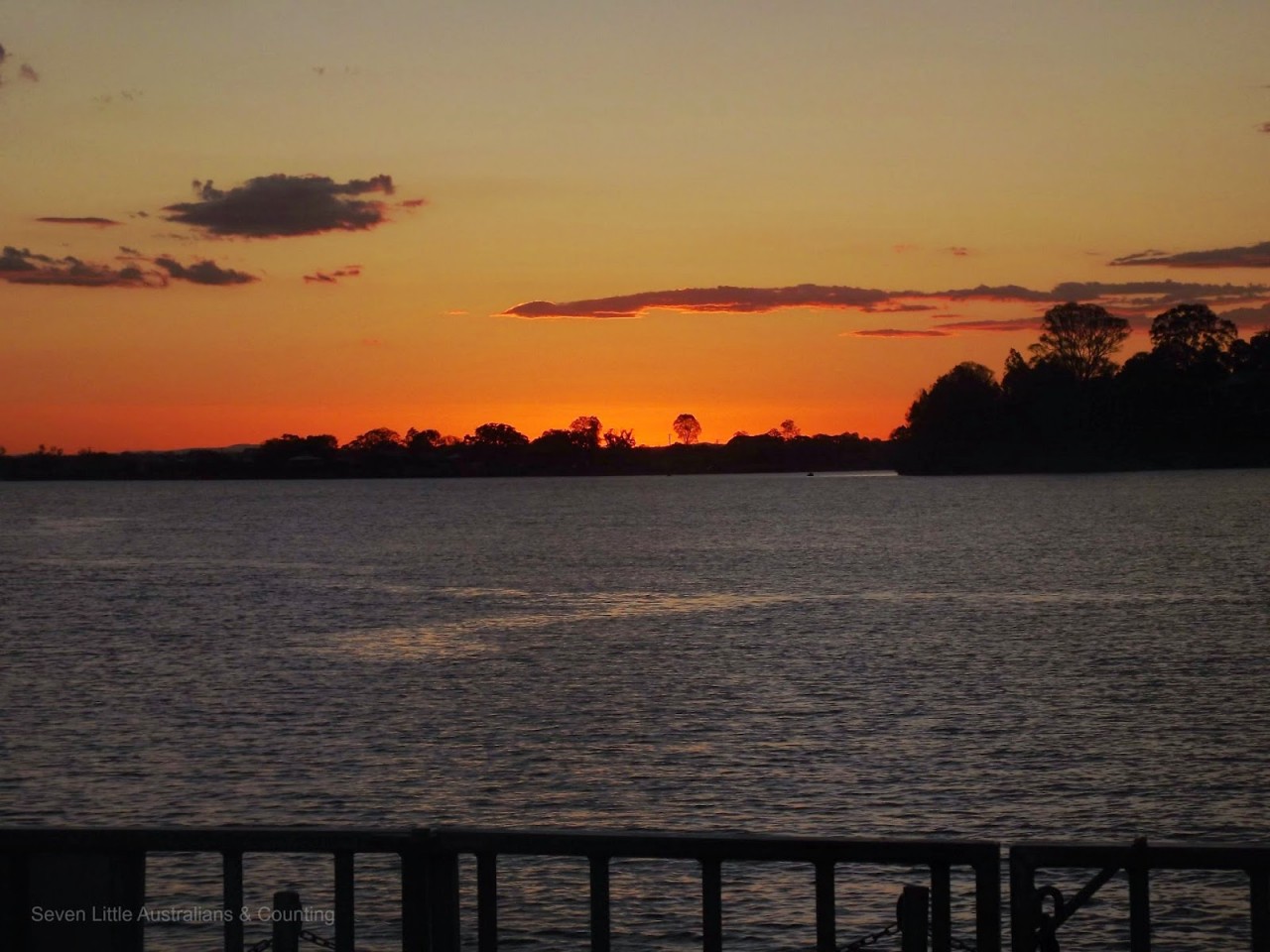 My Daybook: January 5th, 2015