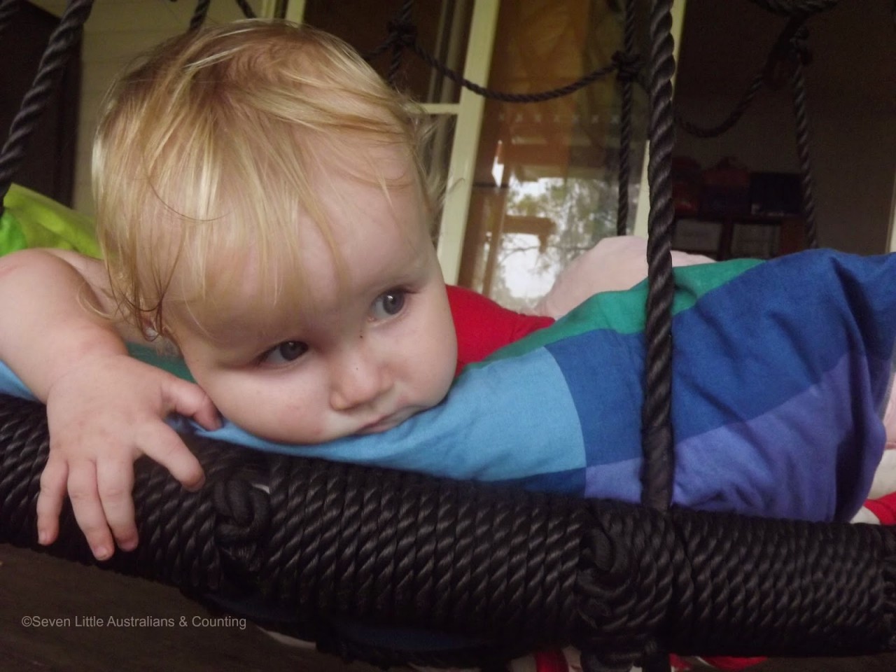 This Week in Learning: January 23rd, 2015