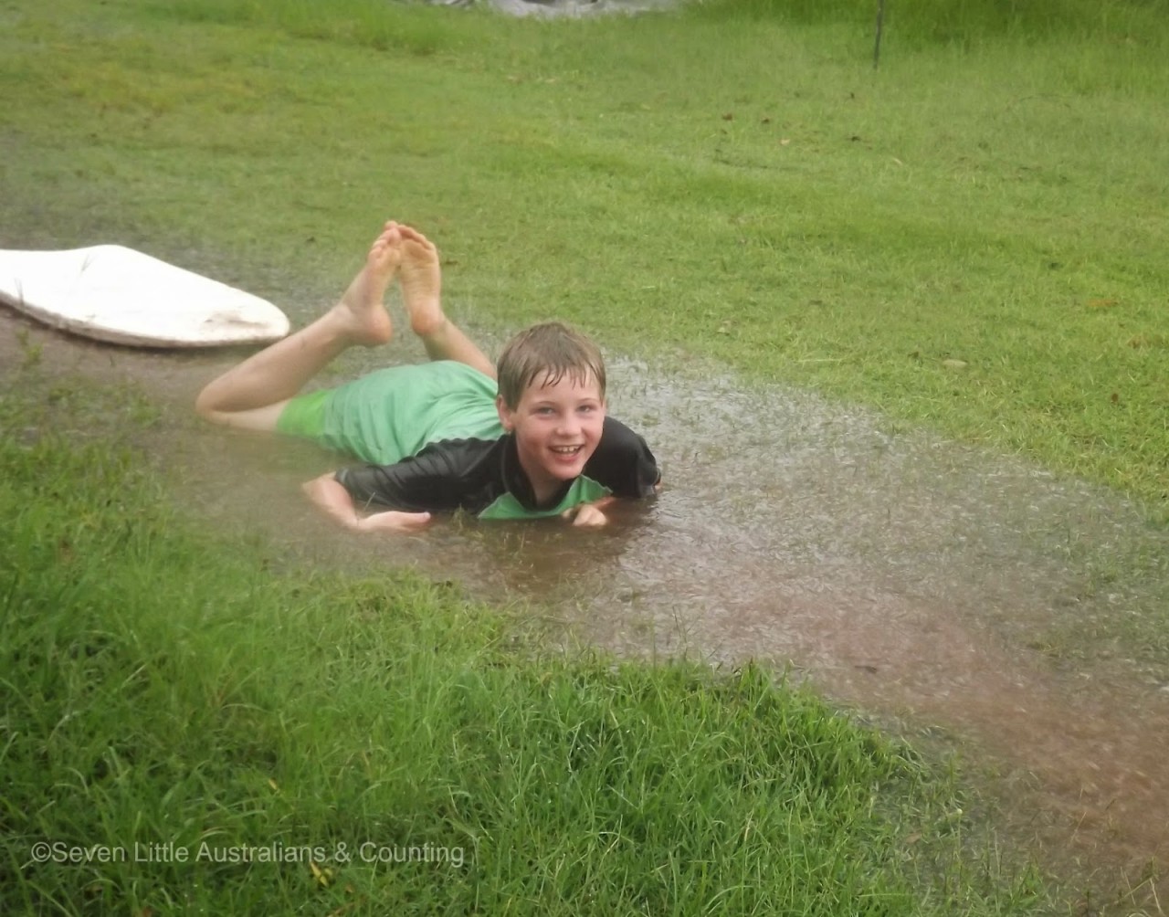 My Daybook: February 3rd, 2015