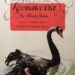 The Story of Koonaworra the Black Swan