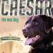Operation Black Shark: Caesar the War Dog 5
