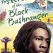 The Secret of The Black Bushranger