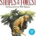Stripes in the Forest : The Story of the Last Wild Thylacine