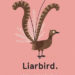Liarbird