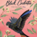 The Black Cockatoo With One Feather Blue 