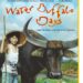 Water Buffalo Days