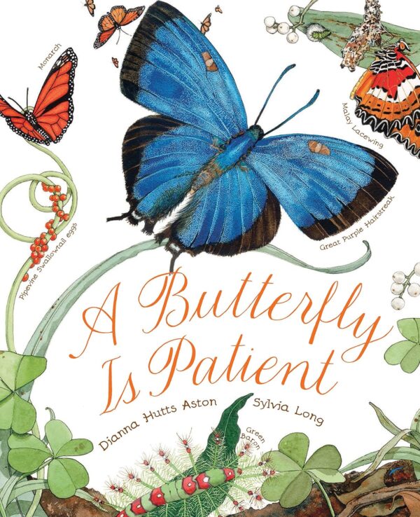 A Butterfly is Patient